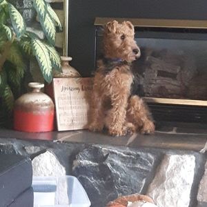 Meet your Posher, Judi